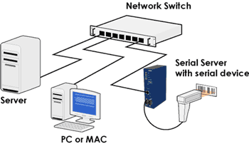 wired client